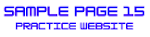 Practice Website