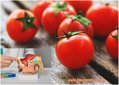 khasiat buah tomat untuk prostat