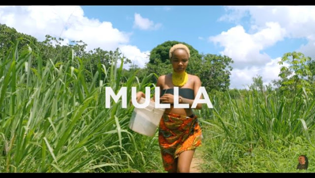 VIDEO | Rosa Ree Ft. Abby Chams - Mulla | Mp4 Download