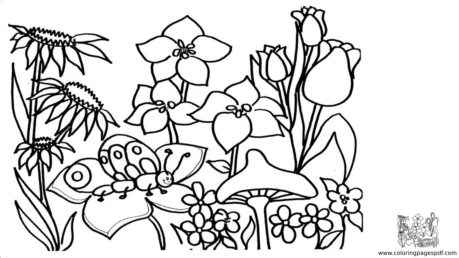 Coloring Pages Of Various Spring Flowers