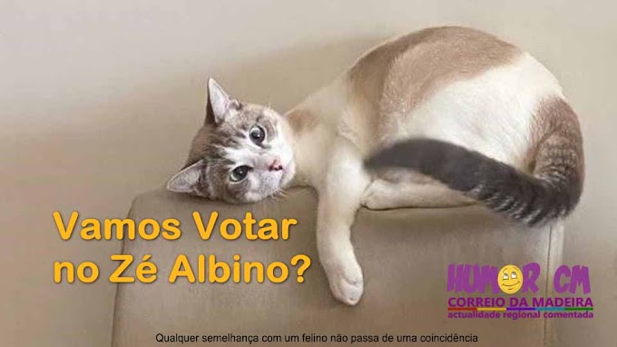 Votar no Zé Albino?