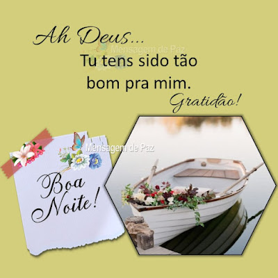 Ah Deus... Tu tens sido tão bom para mim. Gratidão! Boa Noite!