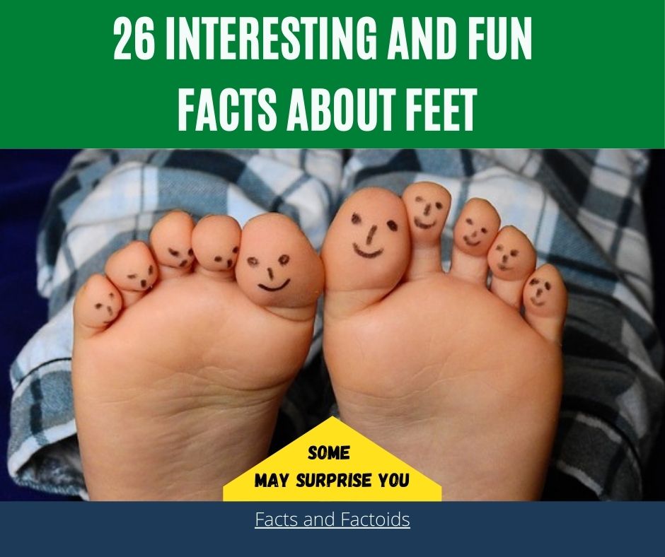 26 Interesting Fun Facts about Feet that May Surprise You