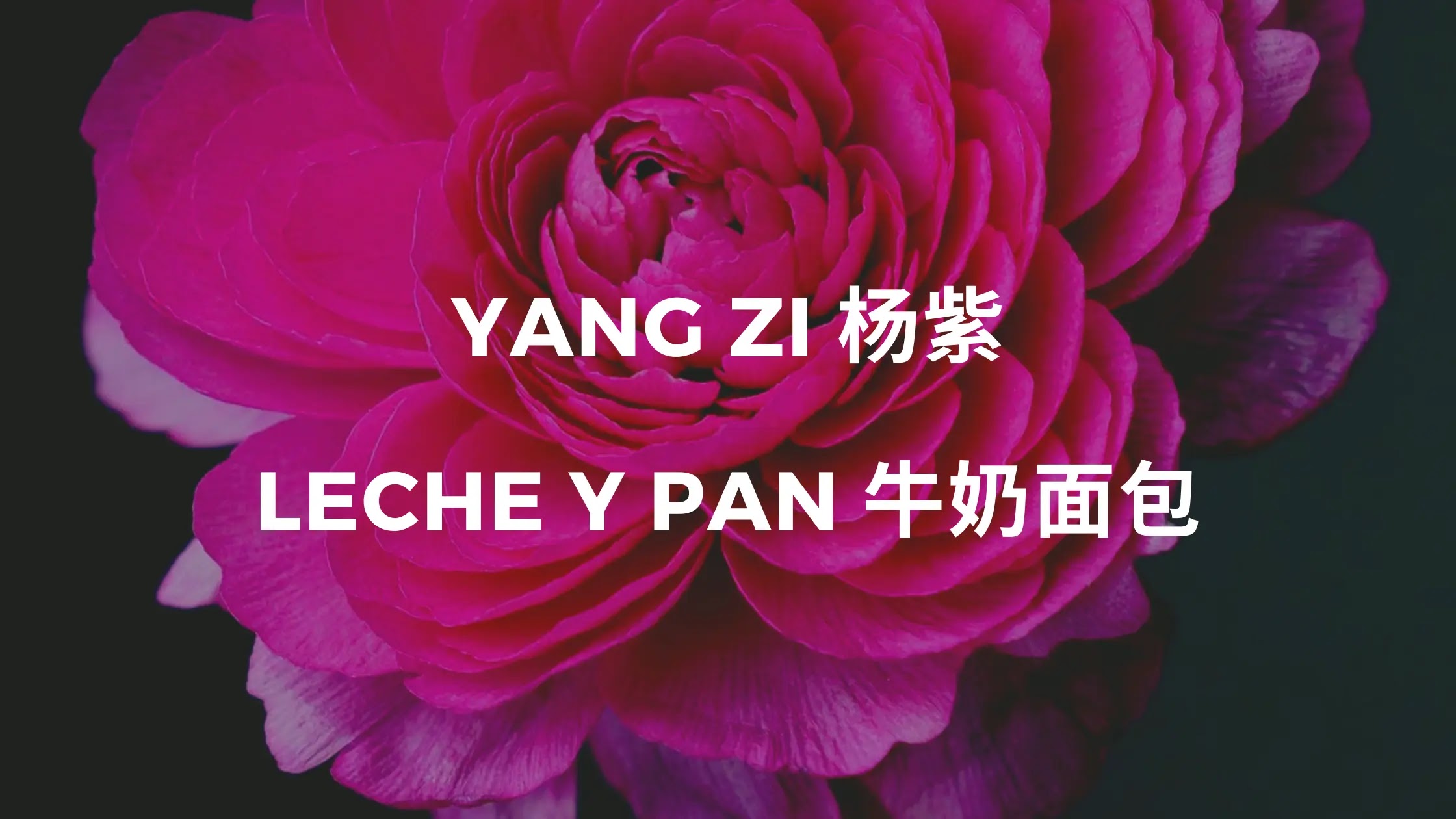 Yang Zi - Leche y pan