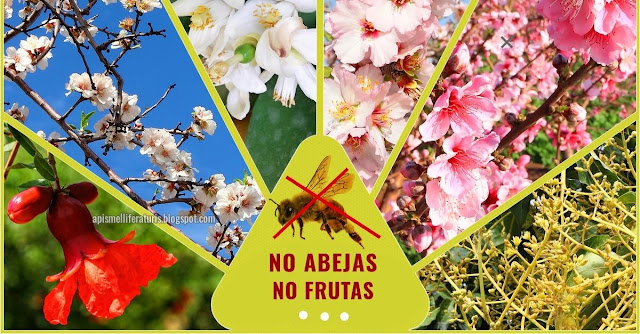 Los impactos negativos de los pesticidas en las abejas