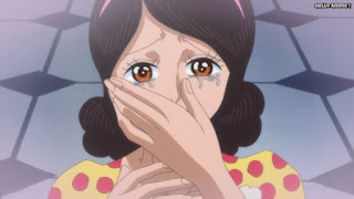 ワンピースアニメ ドレスローザ編 717話 ヴィオラ | ONE PIECE Episode 717