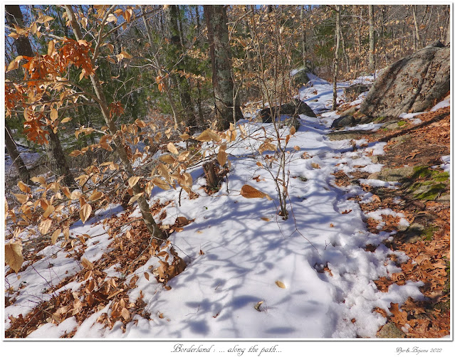 Borderland: ... along the path...