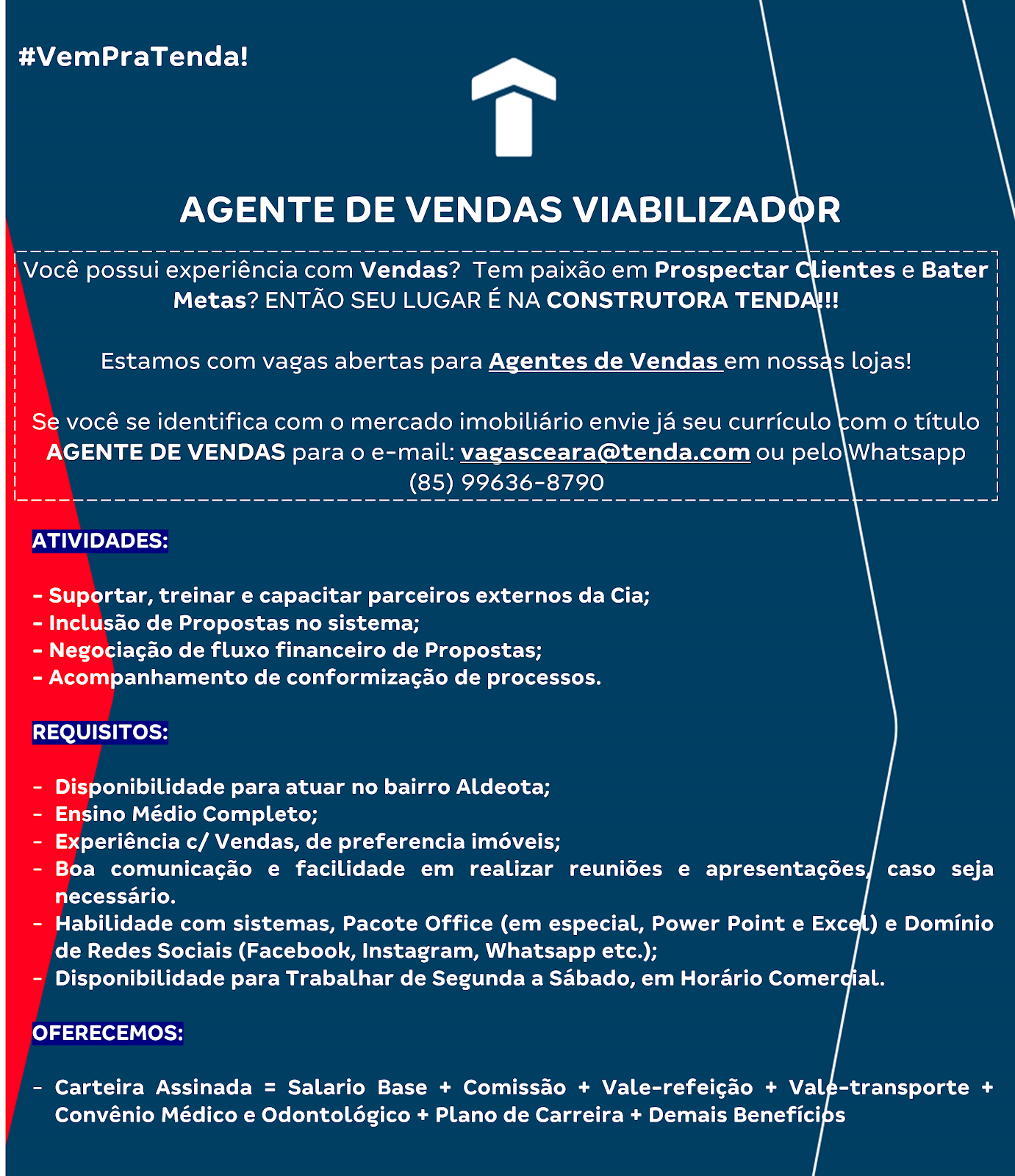 AGENTE DE VENDAS VIABILIZADOR