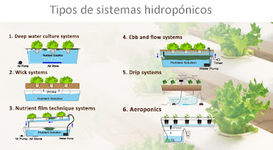 Tipos de sistemas hidropónicos