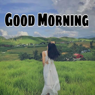 Beautiful Good Morning Photo