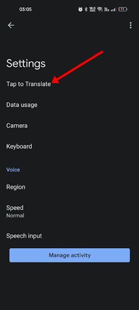 Google Translate Settings