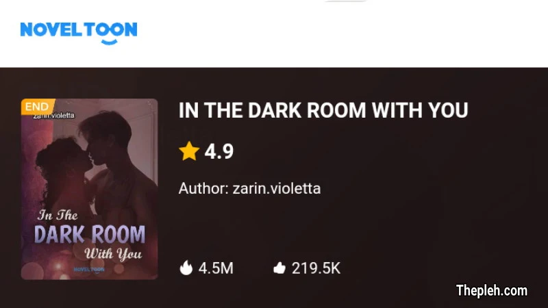 Novel In The Dark Room With You