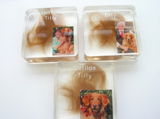 Pet fur and photo paperweights