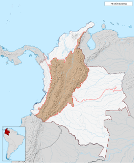 region andina colombia