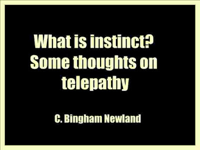 What is instinct