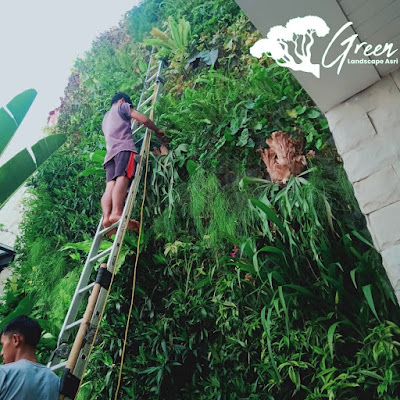 Jasa Tukang Taman Vertical Garden Mojokerto - Pembuatan Taman Vertical Garden di Mojokerto Profesional