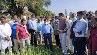 संभाग आयुक्त श्री माल सिंह ने ओला प्रभावित फसलों का जायजा लिया