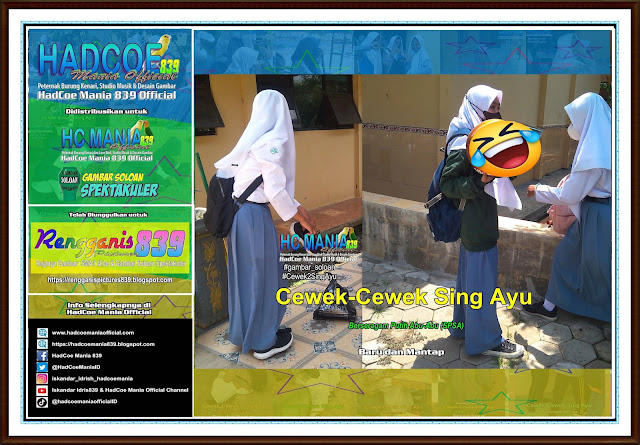 Rengganis Picture 839 - Gambar SMA Soloan Spektakuler Cover Putih Abu-Abu (SPSA) - 22