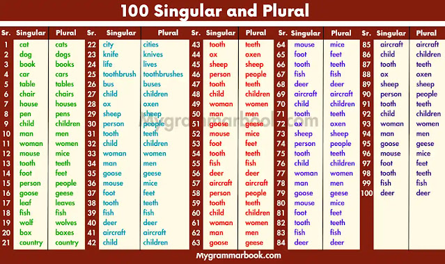 100 Singular and Plural Words in English