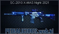 SC-2010 X-Mas Night 2021