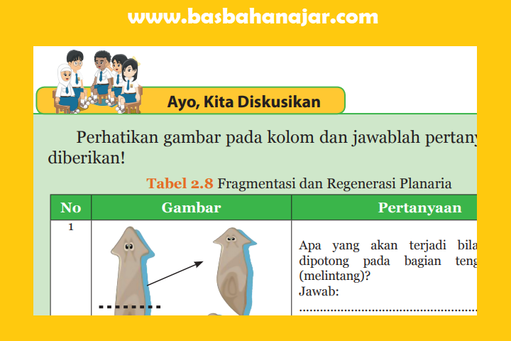 Apa yang terjadi jika planaria dipotong pada bagian tengah tubuh secara membujur