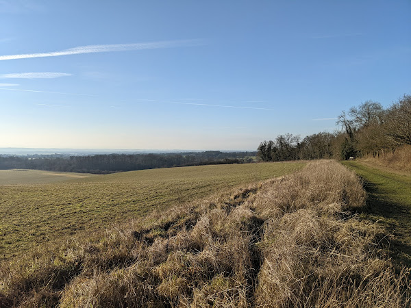 View towards Wimpole Hall from the multi-use trail