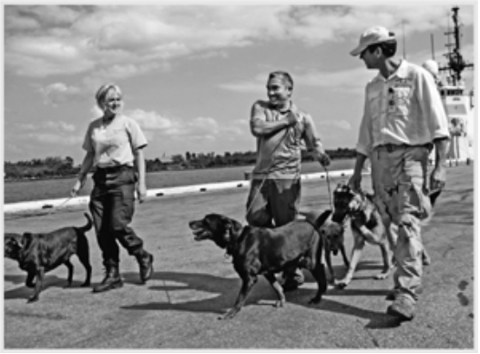 Cesar works with trained explosive-detection dogs in Miami.