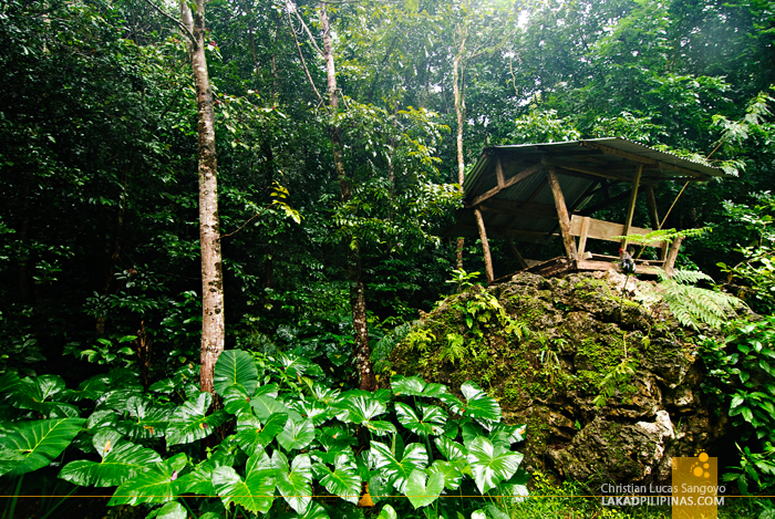 Picnic Grounds in Aglipay Caves, Quirino Province