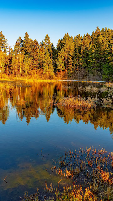 Wallpaper Landscape Lake reflection