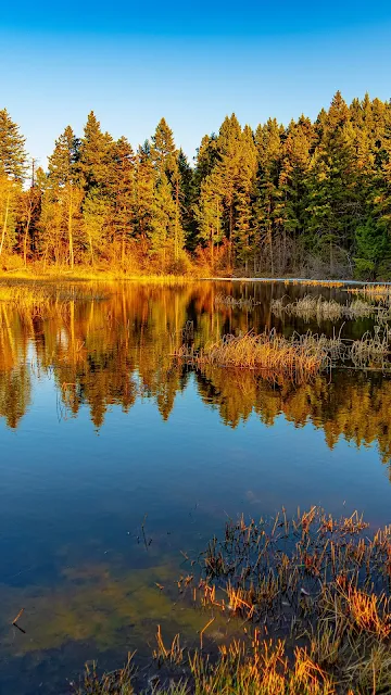 Landscape Lake Reflection Wallpaper