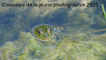 Concours de la jeune photographie 2023