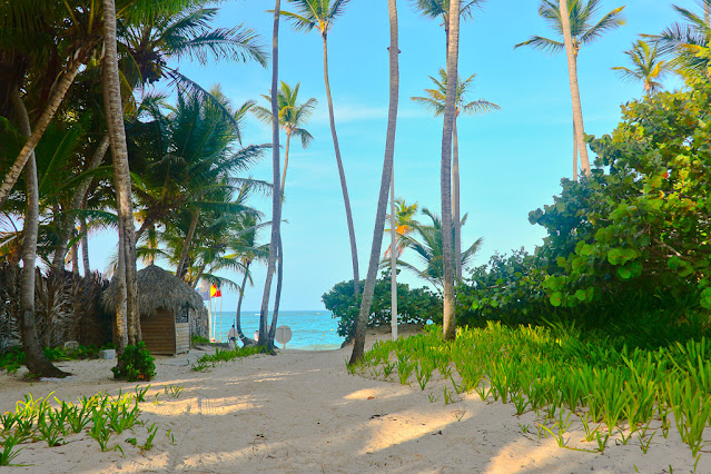 Grand palladium Bavaro (photo_3)