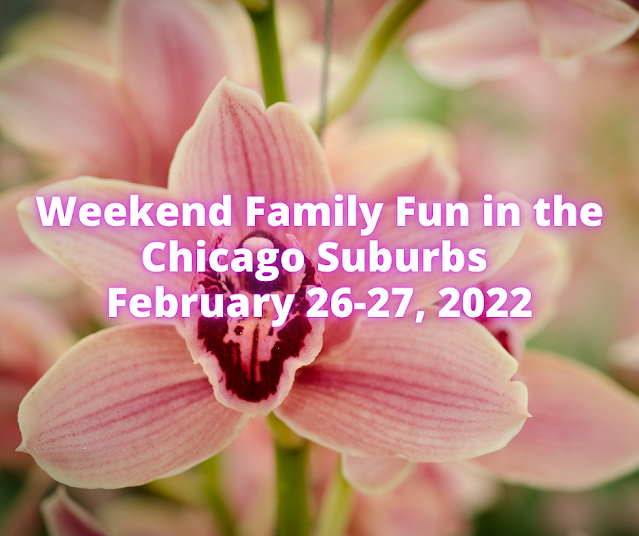 Chicago Suburbs Family Fun February 26-27, 2022