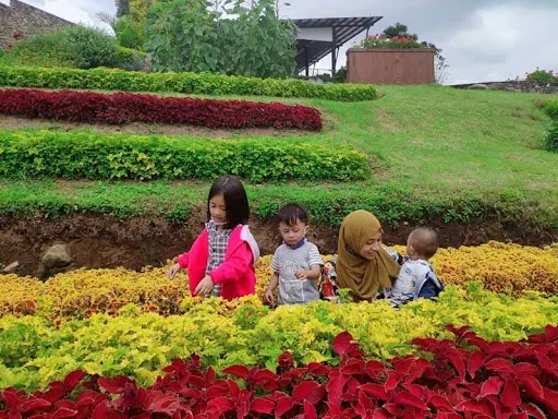 Wisata Happy Farm Ciwidey Bandung