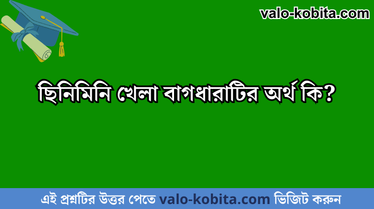 ছিনিমিনি খেলা বাগধারাটির অর্থ কি?