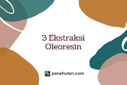 3 Ekstraksi Oleoresin