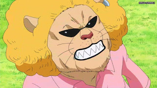 ワンピースアニメ WCI編 785話 ペコムズ Pekoms | ONE PIECE Episode 785