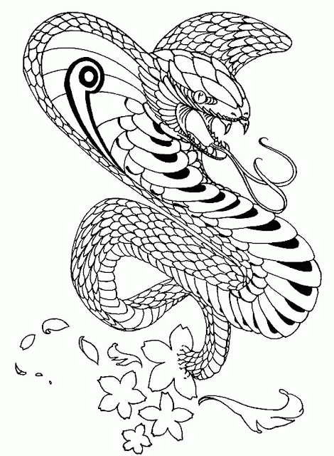 Top 13 Free Printable Snake Coloring Pages for Kids