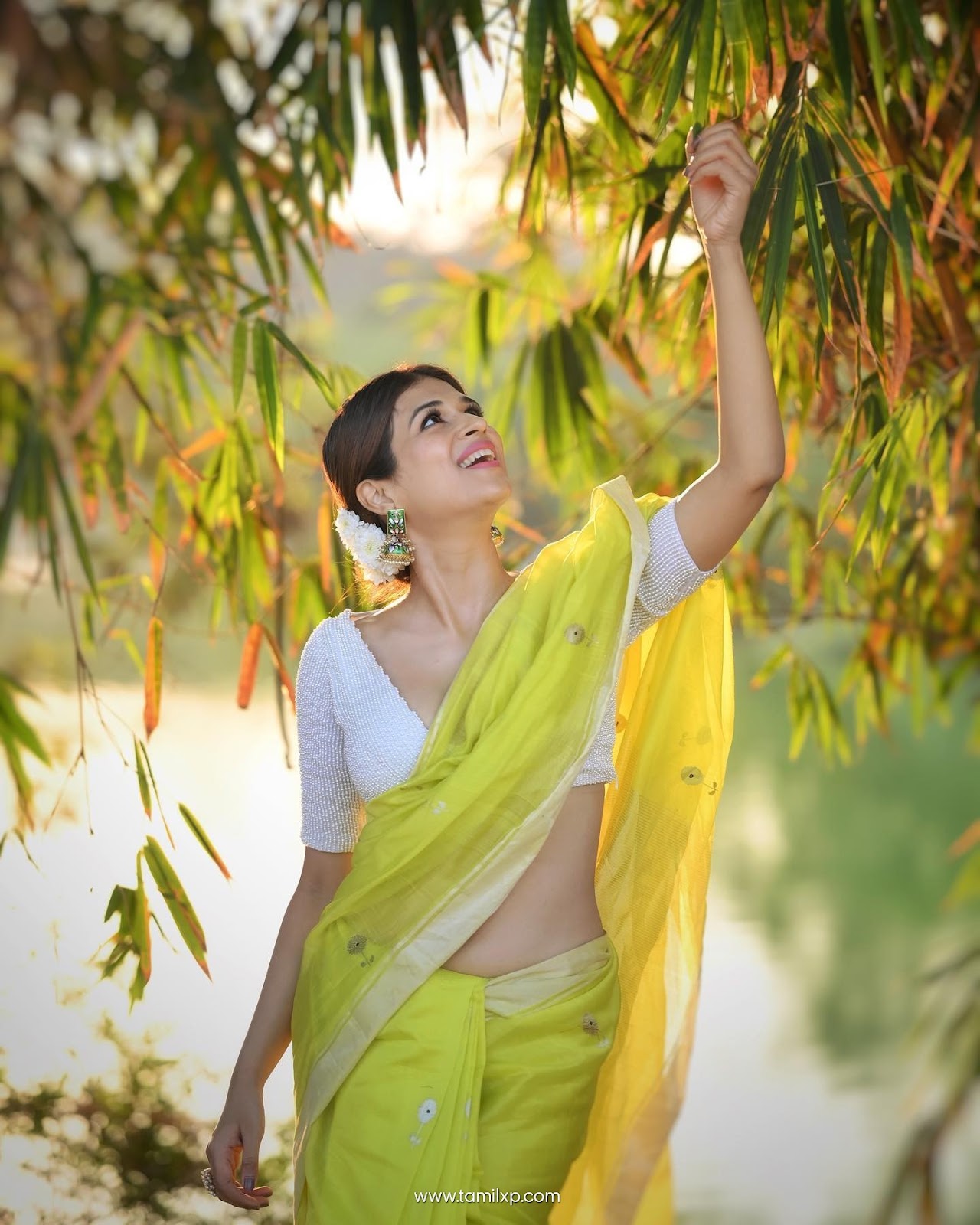 Actress Shraddha Das Saree Photos