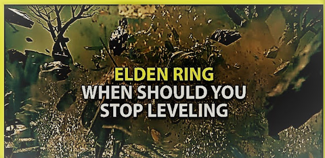 Когда вы должны прекратить прокачку в Elden Ring? (ПвП и ПВЕ)