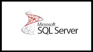 SQL Server Course for Beginners with 100+ examples