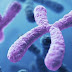 Chromosomal-Basis-Inheritance-Linkage-Crossing-over | uksir-notes | Genetics-5
