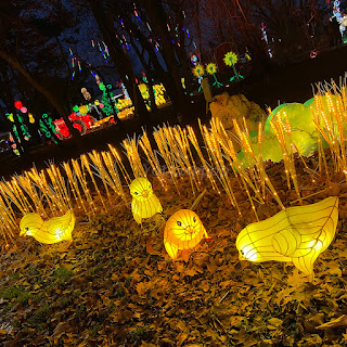 NYC Winter Lantern Festival