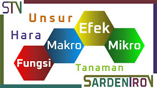 Pengertian unsur hara, jenis unsur makro dan mikro, serta fungsinya