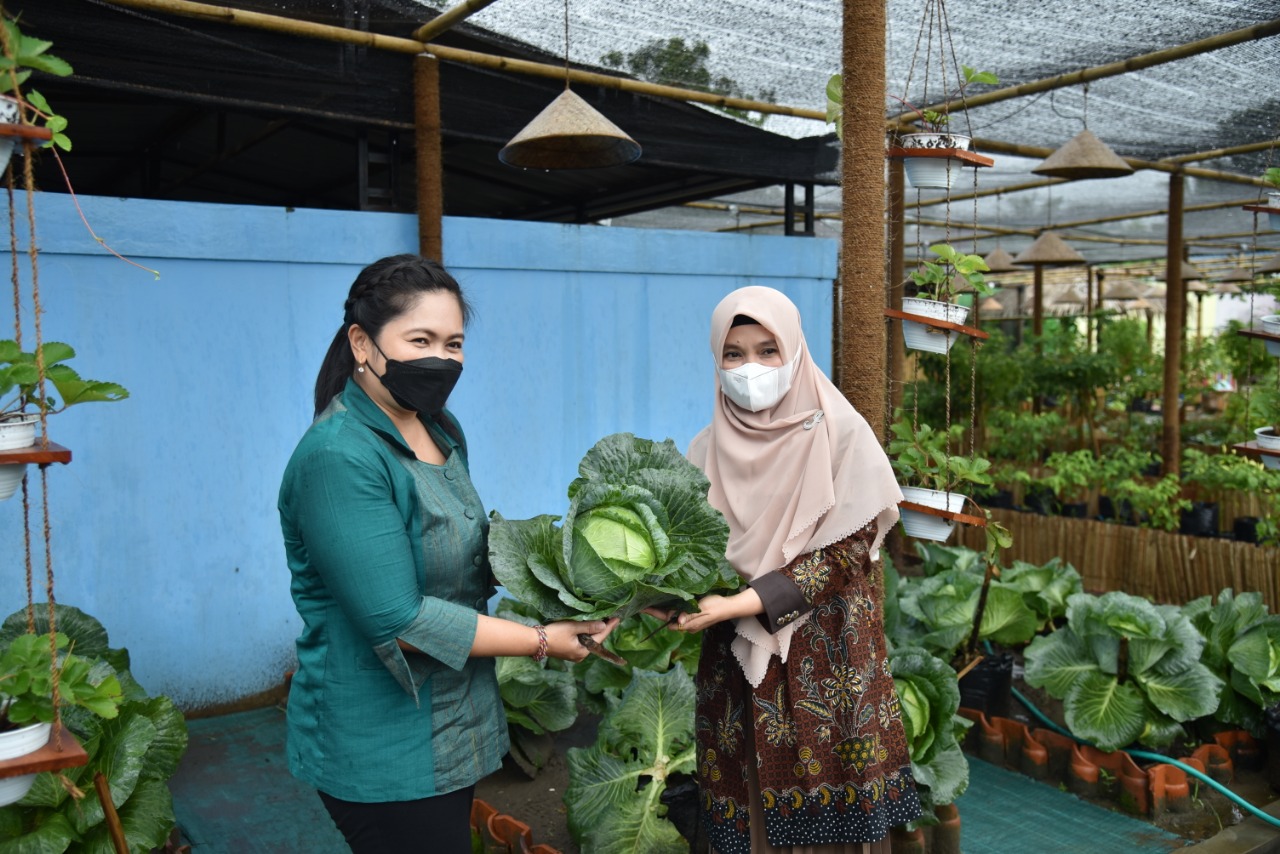 Wakil Bupati Jembrana Ingin Belajar Pengelolaan Udang di Kebumen