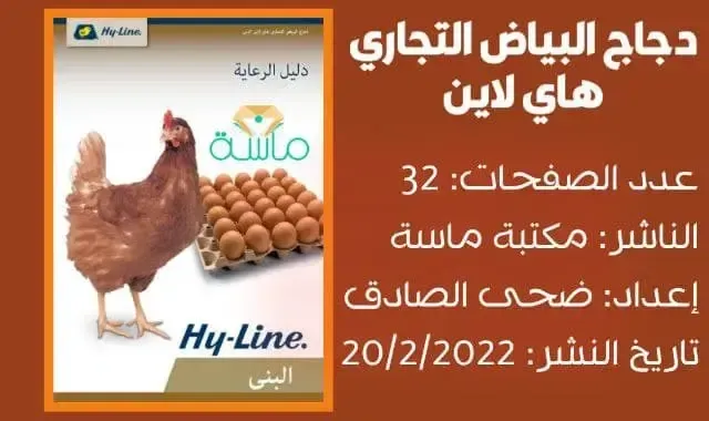 دجاج البياض التجاري هاي لآين البني hy line