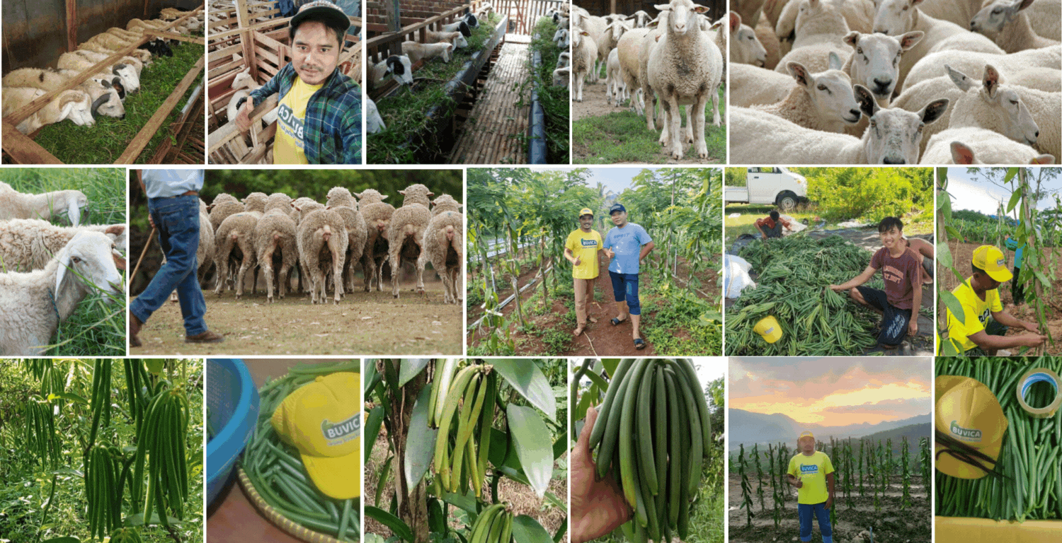 Mulus Farm Indonesia
