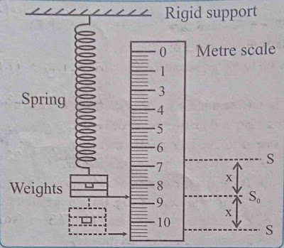 Spring Mass Oscillator Diagram