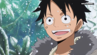 ワンピースアニメ WCI編 869話 ルフィ レイリー 修行 ルスカイナ 見聞色の覇気 Luffy Rayleigh observation haki| ONE PIECE ホールケーキアイランド編