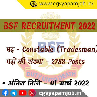BSF RECRUITMENT 2022 - Constable (Tradesman)- cgvyapamjob.in